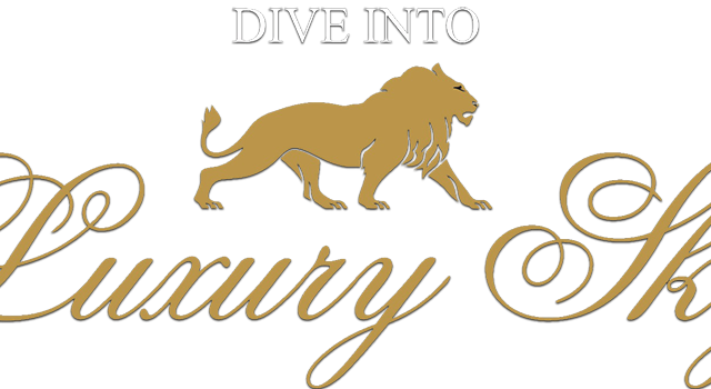 VIP transportation for special events/meetings & more (Luxury Sky)