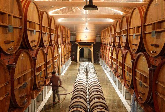 D.A TRANSFORMATIONAL BUS DEV LTD(SANTA IRENE WINERY)