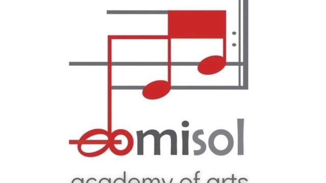 Domisol Academy